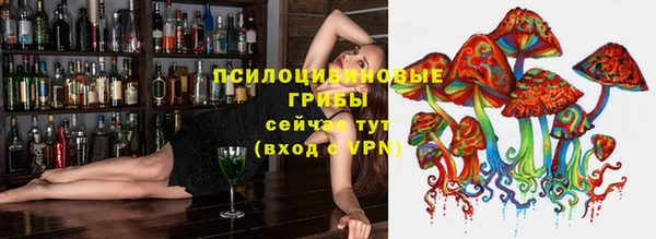 spice Абинск