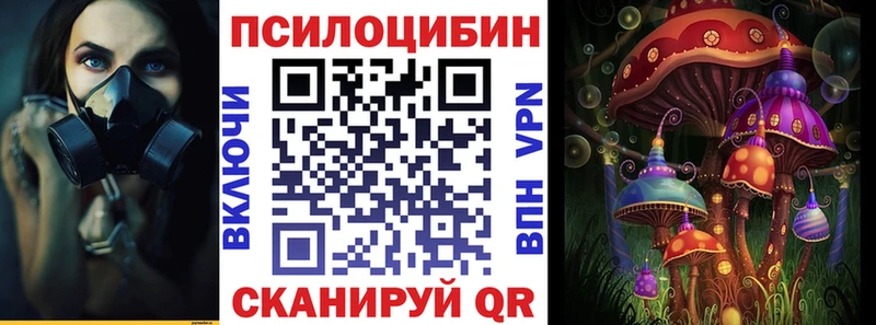 mega зеркало  магазин продажи наркотиков  Ядрин  Псилоцибиновые грибы MAGIC MUSHROOMS 