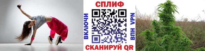Канабис план  Ядрин 